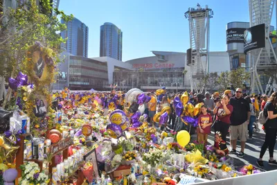 DSC_7200 (Large).JPG